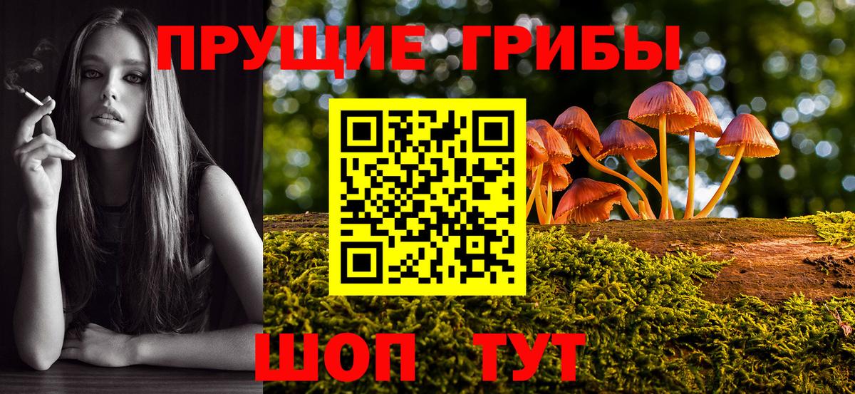 Псилоцибиновые грибы MAGIC MUSHROOMS Севастополь