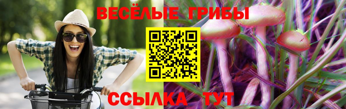 Галлюциногенные грибы MAGIC MUSHROOMS  Галлюциногенные грибы прущие грибы  Вход с VPN  Севастополь 